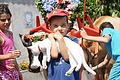 Bernhard Saalfeld - DSC04738.JPG