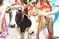 Bernhard Saalfeld - DSC04739.JPG