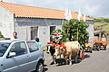 Bernhard Saalfeld - DSC04741.JPG