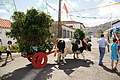 Bernhard Saalfeld - DSC04752.JPG