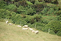 Bernhard Saalfeld - DSC04764.JPG