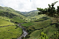 Bernhard Saalfeld - DSC04781.JPG