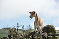 Bernhard Saalfeld - DSC04783.JPG