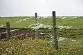 Bernhard Saalfeld - DSC04786.JPG