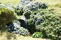 Bernhard Saalfeld - DSC04794.JPG