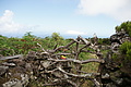 Bernhard Saalfeld - DSC04806.JPG