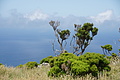Bernhard Saalfeld - DSC04814.JPG