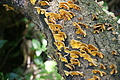 Bernhard Saalfeld - DSC04842.JPG