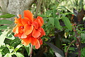 Bernhard Saalfeld - DSC04858.JPG