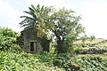 Bernhard Saalfeld - DSC04860.JPG