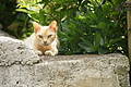 Bernhard Saalfeld - DSC04867.JPG