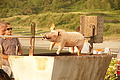 Bernhard Saalfeld - DSC04902.JPG