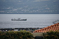 Bernhard Saalfeld - DSC04969.JPG