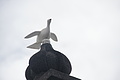 Bernhard Saalfeld - DSC04972.JPG
