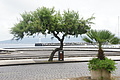 Bernhard Saalfeld - DSC04991.JPG