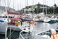 Bernhard Saalfeld - DSC05004.JPG