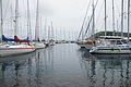 Bernhard Saalfeld - DSC05005.JPG