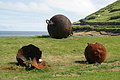 Bernhard Saalfeld - DSC05029.JPG