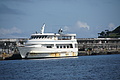 Bernhard Saalfeld - DSC05037.JPG