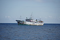 Bernhard Saalfeld - DSC05040.JPG