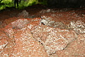Bernhard Saalfeld - DSC05147.JPG