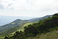 Bernhard Saalfeld - DSC05168.JPG