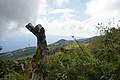 Bernhard Saalfeld - DSC05172.JPG