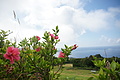 Bernhard Saalfeld - DSC05188.JPG