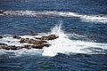 Bernhard Saalfeld - DSC05225.JPG