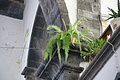 Bernhard Saalfeld - DSC05237.JPG