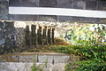 Bernhard Saalfeld - DSC05239.JPG