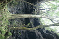 Bernhard Saalfeld - DSC05400.JPG