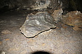 Bernhard Saalfeld - DSC05409.JPG