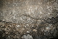 Bernhard Saalfeld - DSC05413.JPG