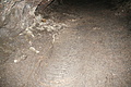 Bernhard Saalfeld - DSC05415.JPG