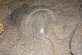 Bernhard Saalfeld - DSC05438.JPG