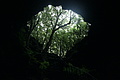 Bernhard Saalfeld - DSC05444.JPG