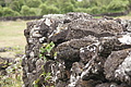 Bernhard Saalfeld - DSC05454.JPG