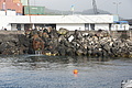 Bernhard Saalfeld - DSC05460.JPG