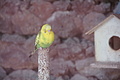 Bernhard Saalfeld - DSC05509.JPG