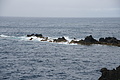 Bernhard Saalfeld - DSC05512.JPG