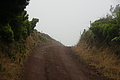 Bernhard Saalfeld - DSC05515.JPG
