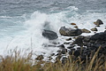 Bernhard Saalfeld - DSC05556.JPG