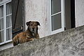 Bernhard Saalfeld - DSC05569.JPG