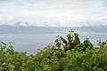 Bernhard Saalfeld - DSC05576.JPG