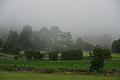 Bernhard Saalfeld - DSC05627.JPG