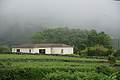 Bernhard Saalfeld - DSC05630.JPG