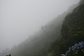 Bernhard Saalfeld - DSC05636.JPG