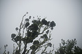 Bernhard Saalfeld - DSC05639.JPG