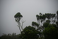 Bernhard Saalfeld - DSC05640.JPG